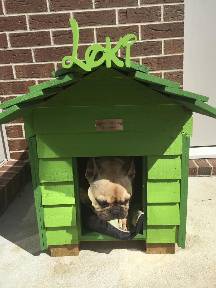 Small kennels for store sale