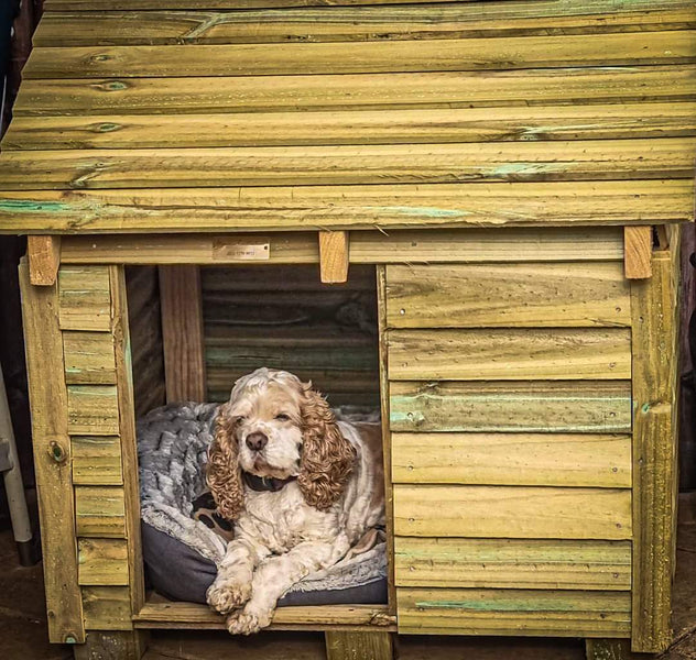 Kennels that are warm in winter and cool in summer