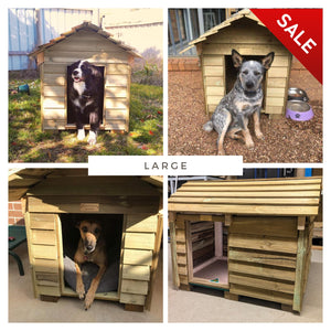 Large Kennels