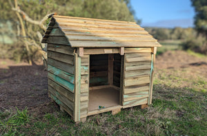 Traditional Large Kennel