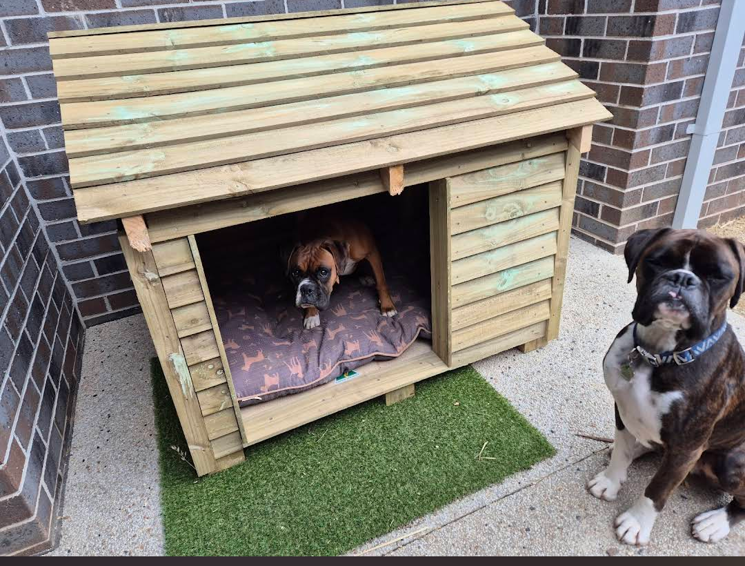 Dog Kennels Woods Humane Society Dogs SALE NOW ON! Super Extra