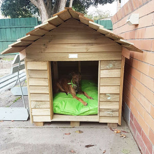 Extra Large Kennels