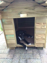 Traditional Large Kennel