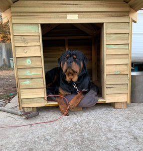 Traditional Super Extra Large Kennel